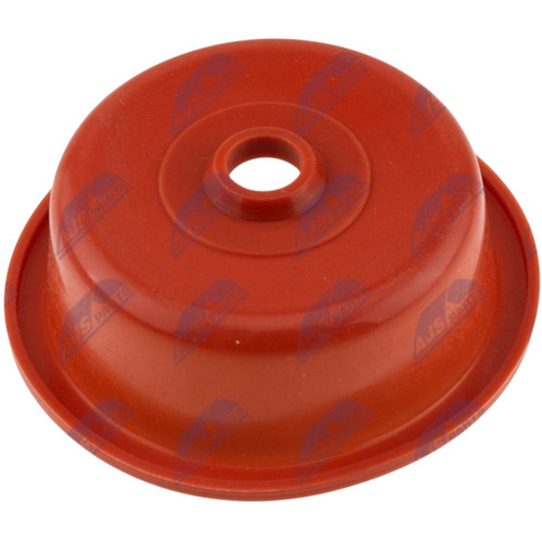 Reparatur membran - reparatur,